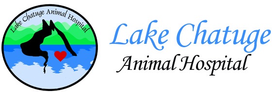 Lake Chatuge Animal Hospital